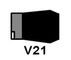 V21 (TSE/AI)
